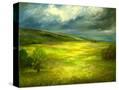 Stretched Canvas