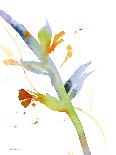 Irises-Sheila Golden-Art Print