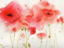 Poppy Reds-Sheila Golden-Art Print