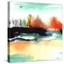 Stretched Canvas