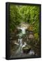 Essential Black