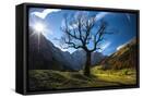 Canvas Black