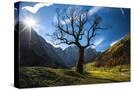 Stretched Canvas