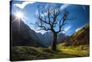 Stretched Canvas