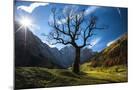 Wood Mount