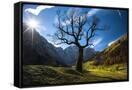 Canvas Black