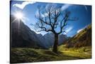 Stretched Canvas
