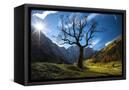 Canvas Black