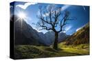 Stretched Canvas