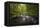 Canvas Black