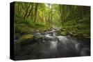 Stretched Canvas