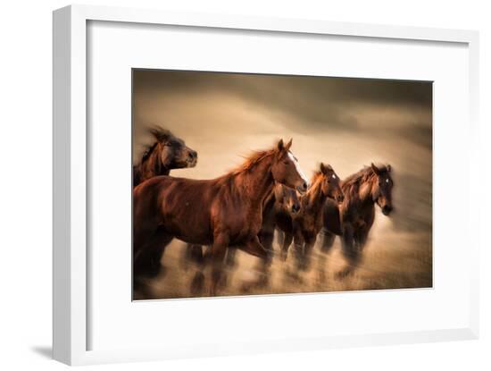 Framed Photographic Print, , large