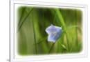 Gramercy White