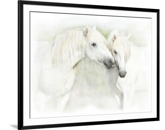 Framed Photographic Print, , large