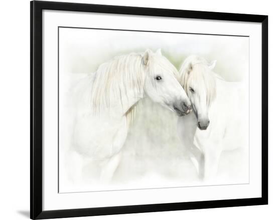 Framed Photographic Print, , large