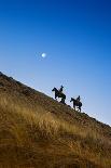 White Horses of Camargue Running in the Mediterranean Water at Sunrise-Sheila Haddad-Photographic Print