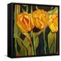 Sheila's Flowers-Linda Arthurs-Framed Stretched Canvas