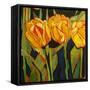 Sheila's Flowers-Linda Arthurs-Framed Stretched Canvas