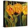 Sheila's Flowers-Linda Arthurs-Stretched Canvas