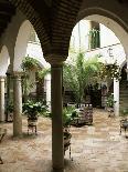 Courtyard of a Traditional House, Carmona, Andalucia, Spain-Sheila Terry-Photographic Print