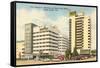 Shelborne, Nautilus, Shore Club Hotels, Miami Beach, Florida-null-Framed Stretched Canvas