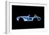 Shelby Cobra-O.M.-Framed Giclee Print