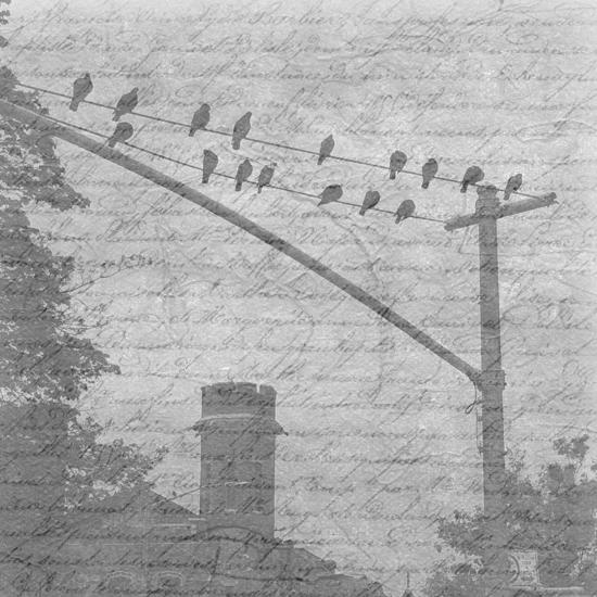 Photo, , large
