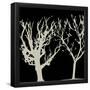 Essential Black