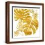 Brown Frame