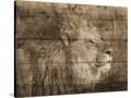 Stretched Canvas
