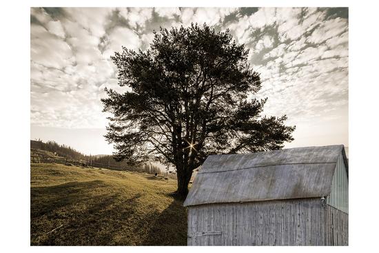 Photographic Print, , large