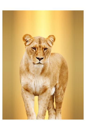 Premium Photographic Print, , large