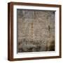 Brown Frame