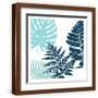 Brown Frame