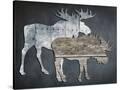 Stretched Canvas