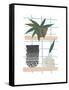 Shelf Life-Seventy Tree-Framed Stretched Canvas