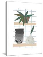 Shelf Life-Seventy Tree-Stretched Canvas