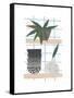 Shelf Life-Seventy Tree-Framed Stretched Canvas