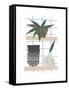 Shelf Life-Seventy Tree-Framed Stretched Canvas