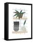 Shelf Life-Seventy Tree-Framed Stretched Canvas