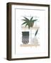 Shelf Life-Seventy Tree-Framed Premium Giclee Print