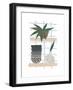 Shelf Life-Seventy Tree-Framed Premium Giclee Print