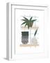 Shelf Life-Seventy Tree-Framed Premium Giclee Print