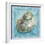 Shell 4-Marietta Cohen Art and Design-Framed Giclee Print