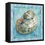 Shell 4-Marietta Cohen Art and Design-Framed Stretched Canvas