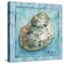Shell 4-Marietta Cohen Art and Design-Stretched Canvas