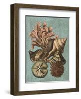 Shell and Coral on Aqua I-Vision Studio-Framed Art Print