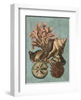 Shell and Coral on Aqua I-Vision Studio-Framed Art Print