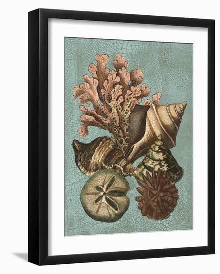 Shell and Coral on Aqua I-Vision Studio-Framed Art Print