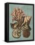 Shell and Coral on Aqua I-Vision Studio-Framed Stretched Canvas